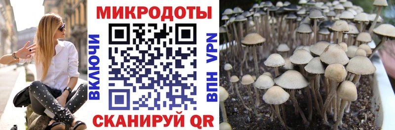 Псилоцибиновые грибы Psilocybine cubensis  маркетплейс официальный сайт  Шелехов 